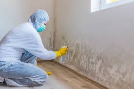 Mold Inspection